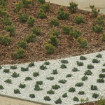image01